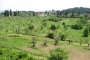 Florence countryside View