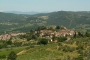 View of Montefioralle (Chianti Area)
